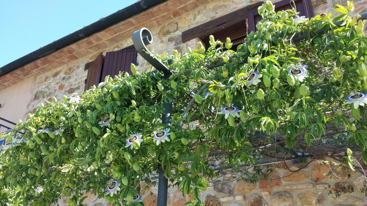 Agriturismo Podere San Lorenzo 1866 Massa Marittima Dış mekan fotoğraf